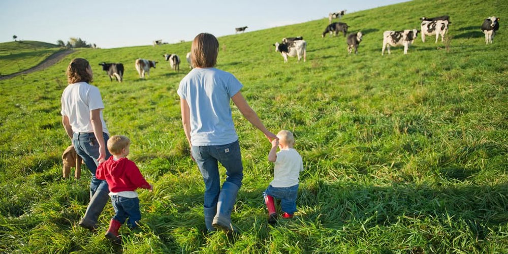 Stages à la Ferme pour les 3 à 6 ans